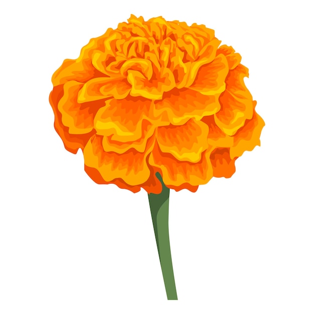 Vector vector oranje gouden bloem geïsoleerd op witte achtergrond