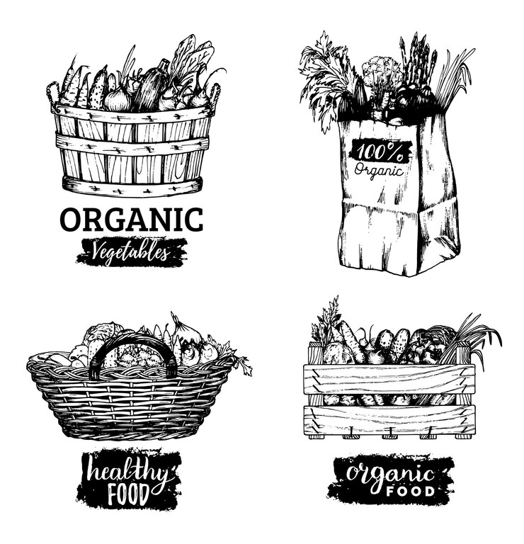 Vector vector organic vegetables images set farm products illustrations hand sketched baskets box and bag with greens