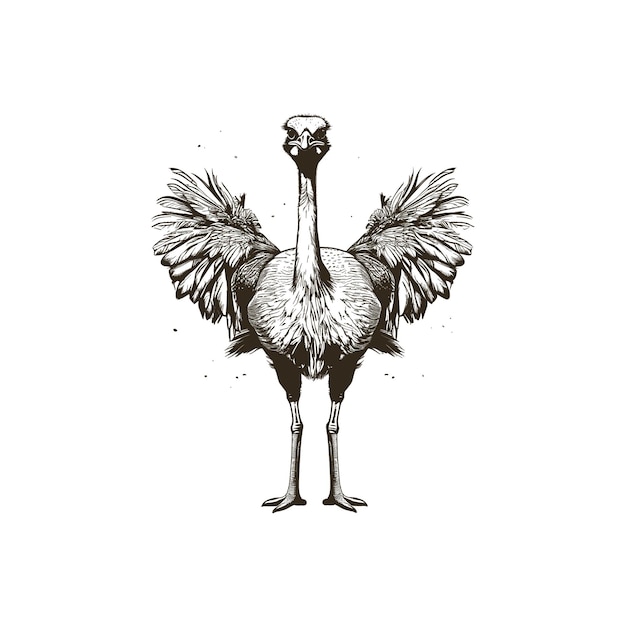 Vector ostrich hand drawn sketch in doodle style illustration