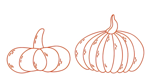 Vector outline cute pumpkiny Autumn vegetable Funny veggie harvest line illustration