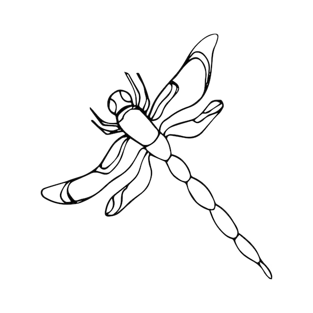Vector outline dragonfly illustration isolated on white. Vector illustration