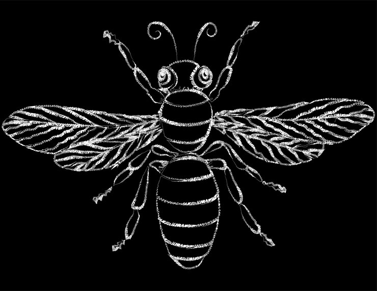 Vector vector outline drawing of silhouette decorative cartoon fly