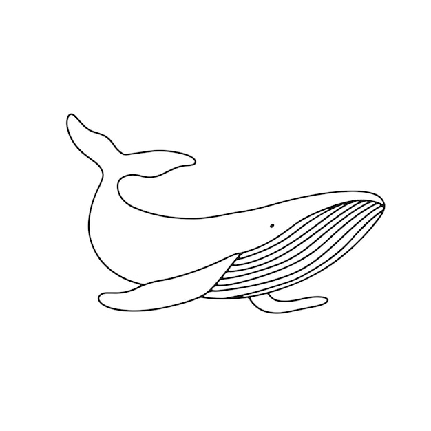 Vector outline illustration isolated on white Sea animal whale