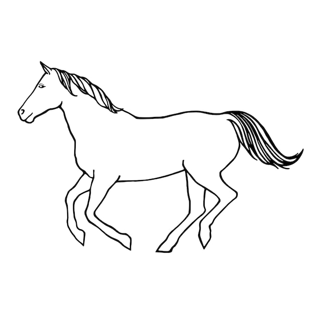 Vector vector outline illustration of running horse