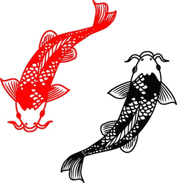 Vector vector outline illustration of two koi fish clipart