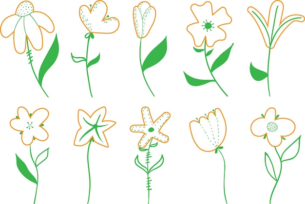 Vector outlline flowers set on white background line art style for banner poster promotion web site