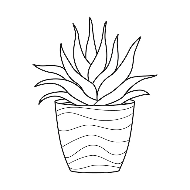 Vector overzicht aloë in pot indoor succulente plant met vlezige bladeren kamerplant voor huis en interieur botanische doodle lineaire zwart-wit afbeelding geïsoleerd op witte achtergrond