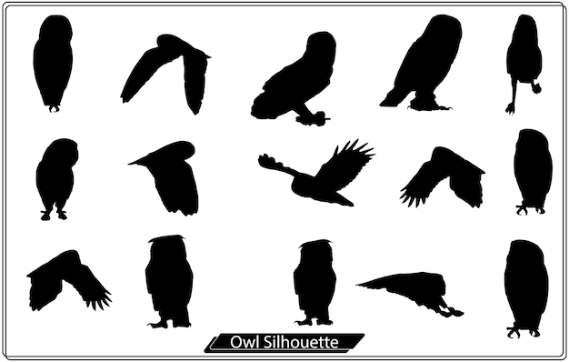 Vector of an owl design on white background