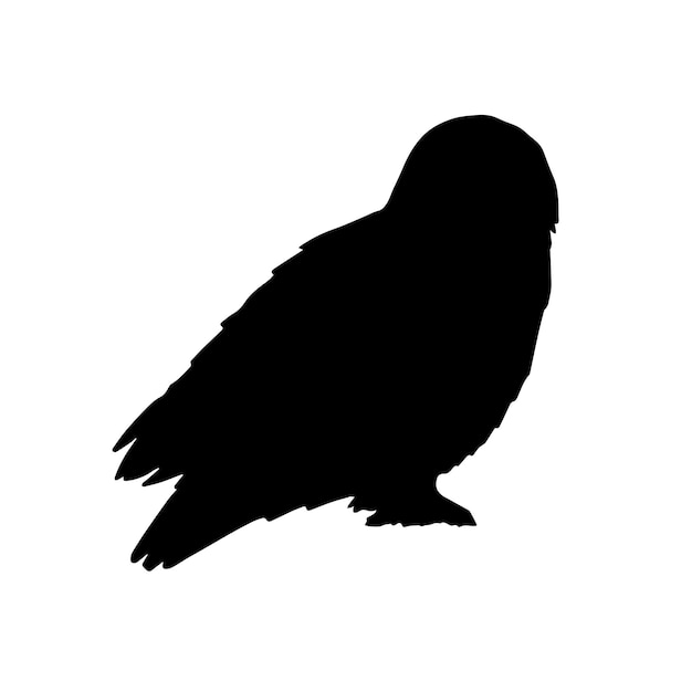 Vector owl silhouette