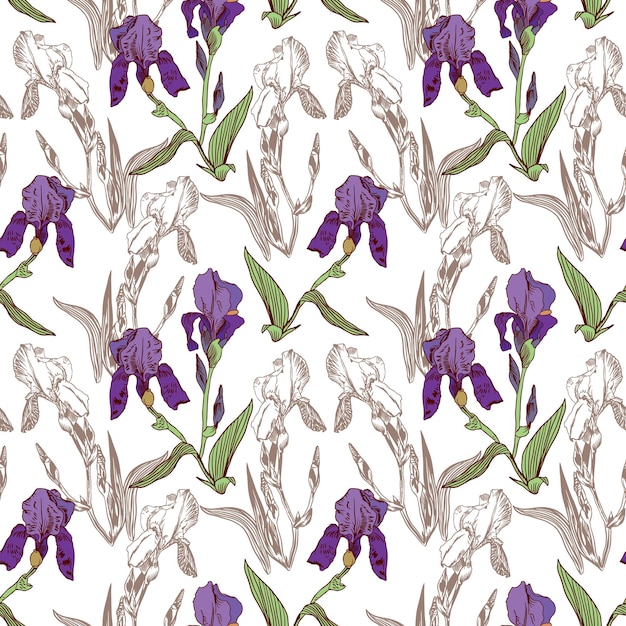 Vector paarse irissen met bladeren iris silhouet Naadloze bloemenpatroon voor baby textiel inpakpapier wenskaarten wallpapers en covers