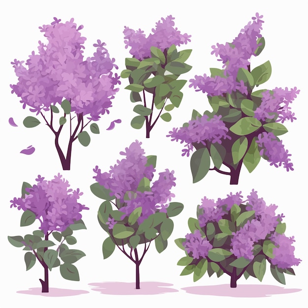 Vector vector pack featuring a variety of lilac illustrations for versatile use