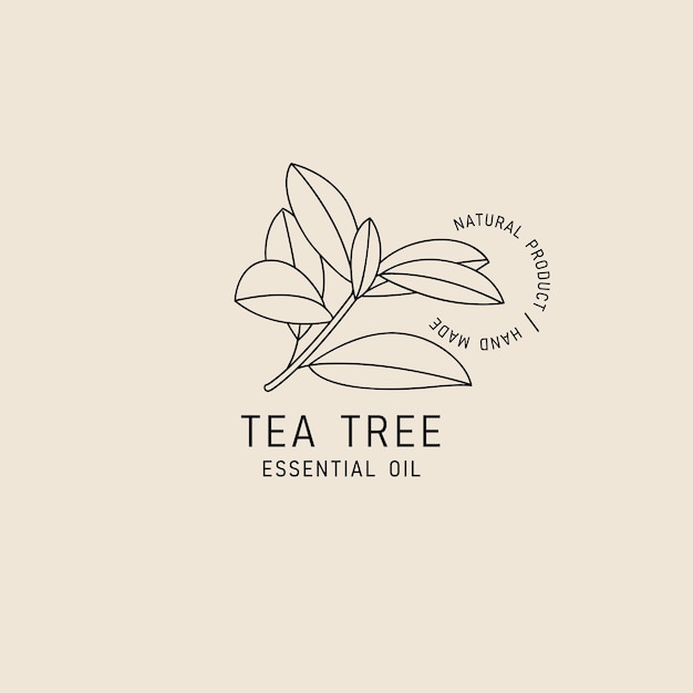 Vector packaging design element and icon in linear style tea tree oil healthy vegan food Logo sign