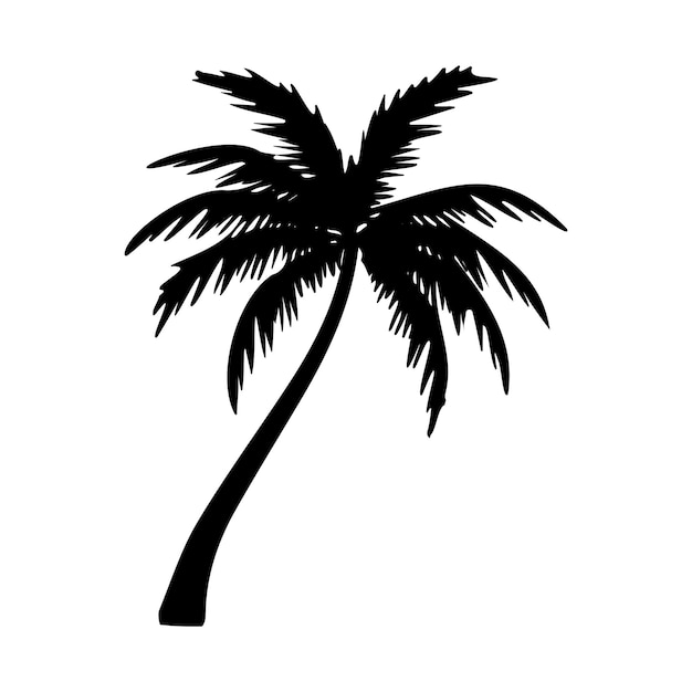 Vector palm tree silhouette