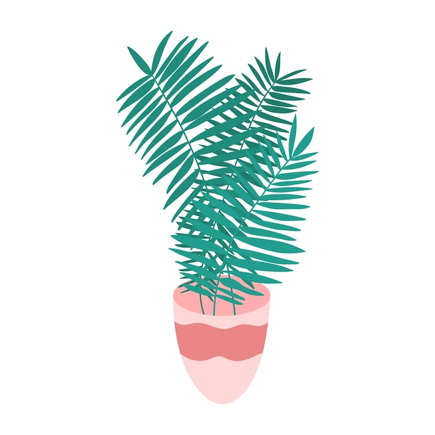 Vector palmboom in pot illustratie Hand getrokken kamerplant geïsoleerd