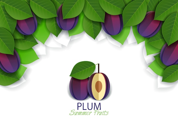 Vector paper cut ripe plum fruit background frame