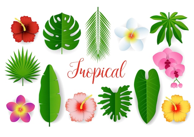 Vector paper cut tropical plant leaves and flowers