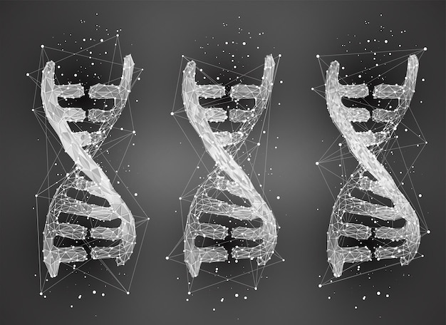 Vector part of the human dna 3d triangular abstract style in black and white