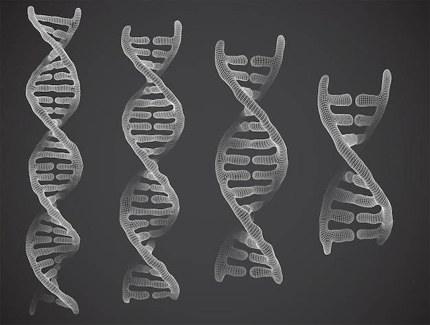 人間の dna 3 d 三角形の抽象的なスタイルのベクトル部分