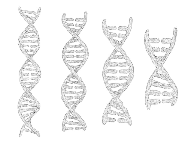 인간의 dna 3d 삼각형 추상 스타일의 벡터 부분