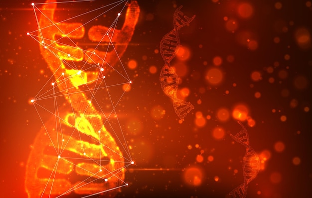 인간의 dna 3d 삼각형 추상 스타일의 벡터 부분