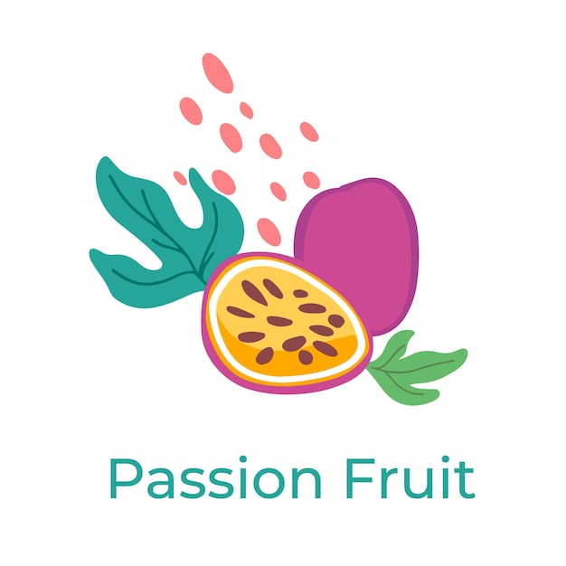 Vector Passion fruit abstract cute illustration