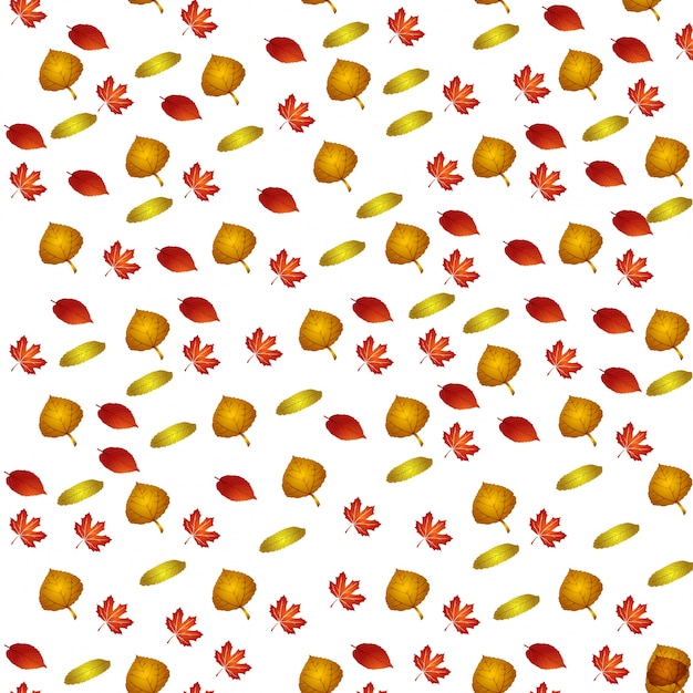 Vector pattern with autumn leafes, floral background, autmn fall.