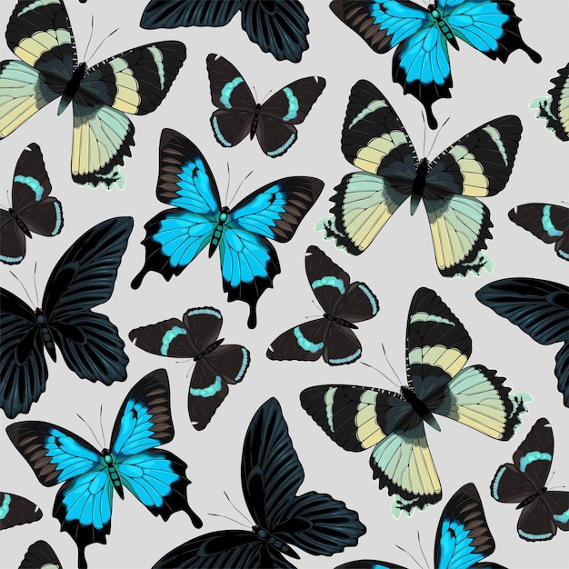 Vector pattern with high detailed tropic butterfly