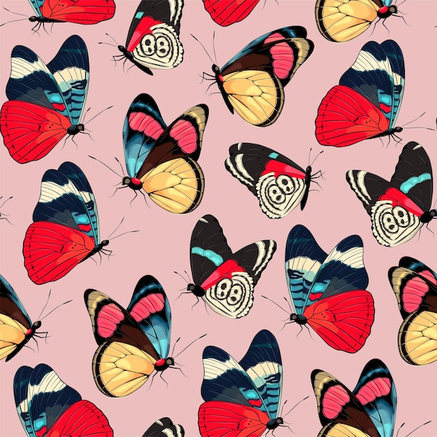 Vector vector pattern with high detailed tropic butterfly