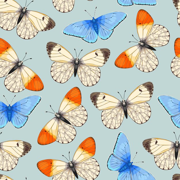 Vector pattern with high detailed vivid butterfly