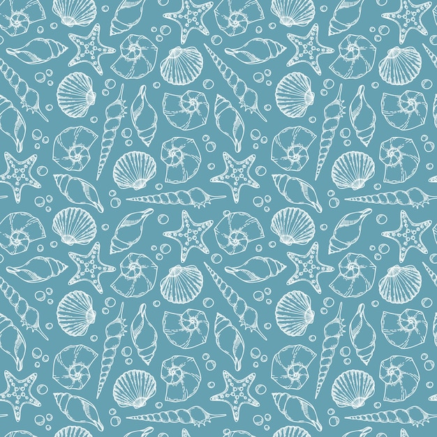 Vector Pattern with Sea Shells on light blue Background Hand drawn backdrop with Sea Shells