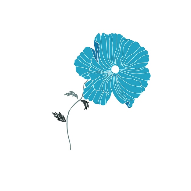 잎이 있는 양귀비 꽃의 벡터 패턴 벽지 섬유 직물 의류 종이 엽서에 대한 식물 그림