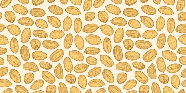 Vector peanut seeds seamless pattern
