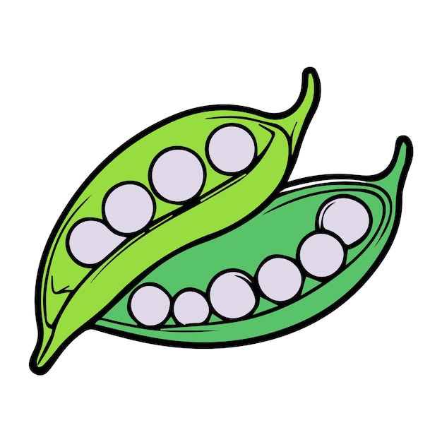 vector Peas line color illustration icon