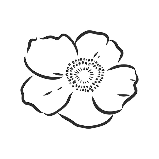 白い背景で隔離のベクトル牡丹の花デザインの要素手描き