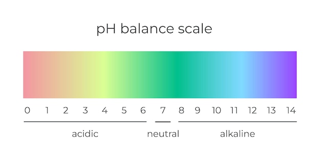 벡터 Ph 규모 표시기 그라데이션 차트 다이어그램 산성 알칼리성 측정. Ph 분석