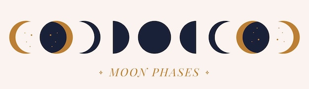 Vector phases of a golden moon on a nude background. hand drawn illustration.