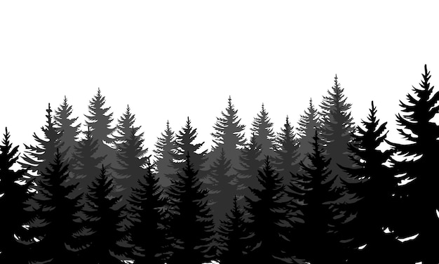 Vector pine trees silhouettes evergreen coniferous forest silhouette nature spruce tree park view