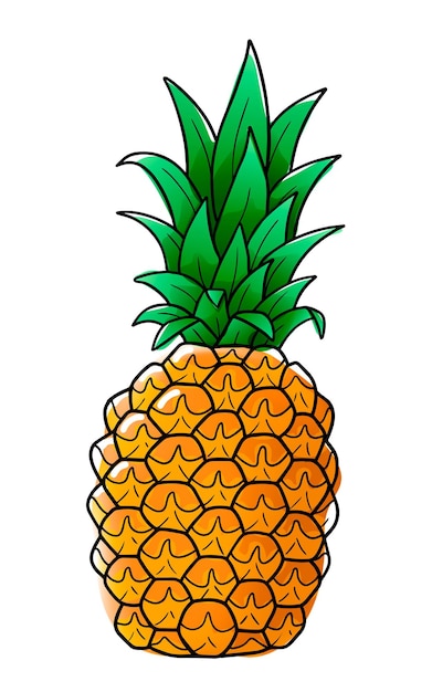 Vector pineapple in watercolor style with black contour