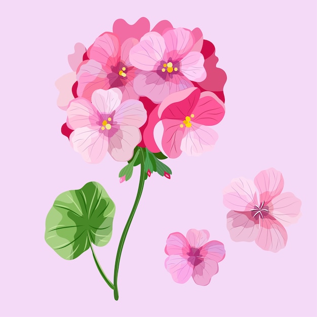 Vettore floreale rosa