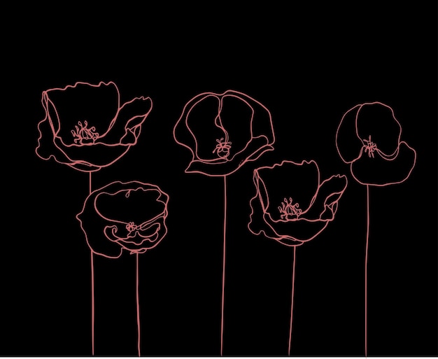 Vector Pink Outline Poppy Flower Black Background