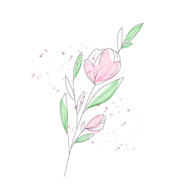 Vector pioen bloem lineart en aquarellen