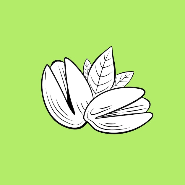 Vector Pistachio illustration black and white outline nuts on green pistachio icon