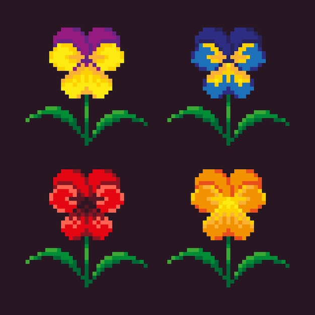 Vector pixel illustration of flowers pansies of different colors and varieties