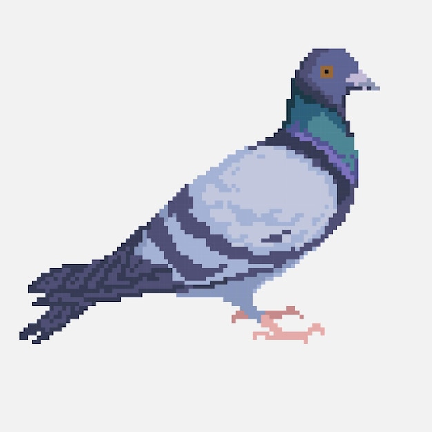 Vector vector pixel pigeon