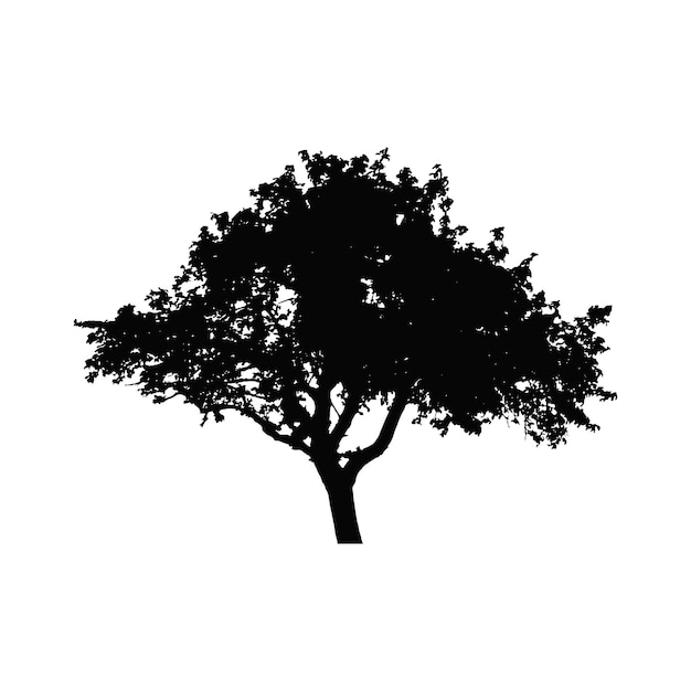 Vector of plant and tree silhouette