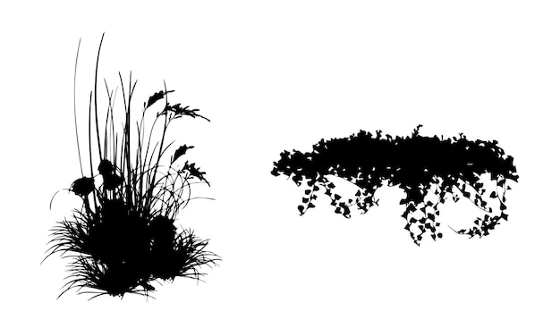 Vector plant and tree silhouette