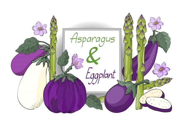 Vector plantaardige set. Witte, violette en paarse aubergines met bladeren en bloemen, verse groene asperges (sparrowgrass).