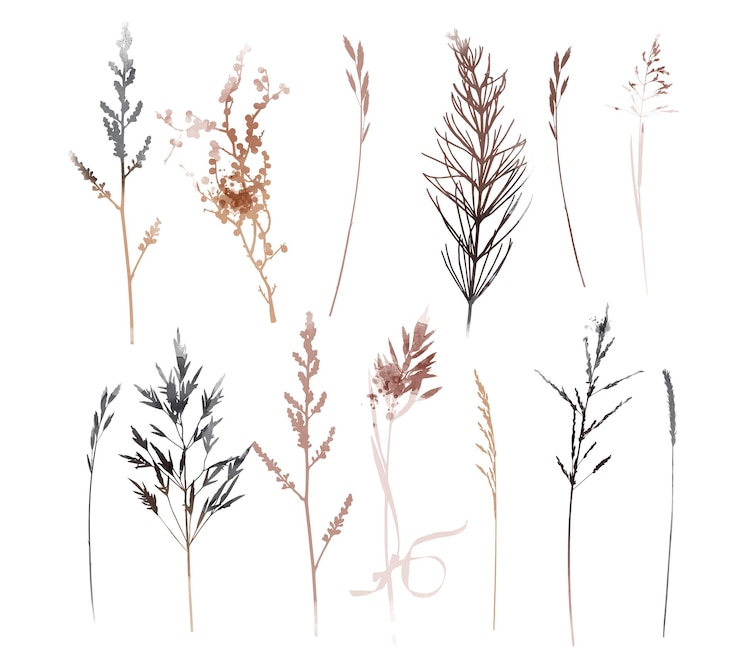 Vector vector planten en kruid instellen illustratie. aquarel illustratie.