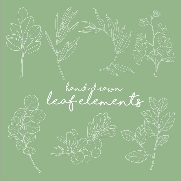 Vector plants and herbs hand drawn leaf elements