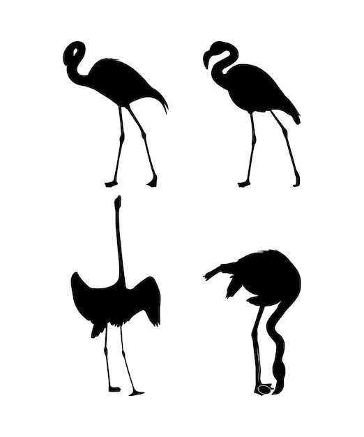 Vector vector plat flamingo silhouet geïsoleerd op een witte achtergrond